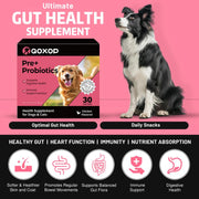 Probiotics for Dogs & Cats - 30 Chicken-Flavored Sachets for Digestive Relief with Prebiotics, Fiber & Enzymes - Boosts Gut & Immune Health!