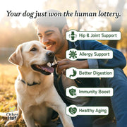 Other Half Everyday Clean Dog Multivitamin - 45 Essential Ingredients for Optimal Health | 30 Convenient Scoops