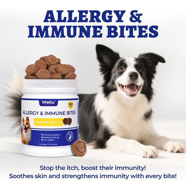 Wellix 260-Count Natural Dog Allergy Relief Chews - Soothing Itchy Skin & Ears with Immune Support