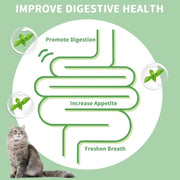 Ultimate Catnip Energy Balls - Edible Chew Treats for Dental Health & Fun for All Breeds!